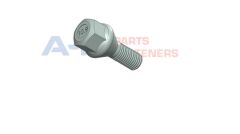 (19DR1250) BİJON CİVATASI GALVANİZ DACIA-NISSAN-RE...