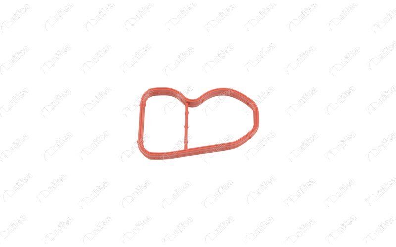 EMME MANIFOLD CONTASI BMW B37 B47 F20 F21 F22 F23 ...