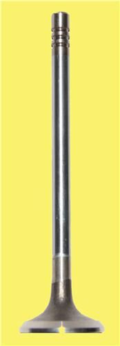 SUBAP EMME+EGZOZ C2-C3-XSARAII-NEMO-107-206-207-30...