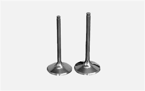 SUBAP EMME+EGZOZ MASTER-MOVANO 2.5DCI-LGN 2.2 (G9...