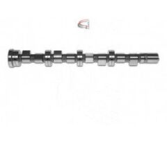 EKSANTRİK MİLİ EMME DUCATO-MASTER 2.3 JTD