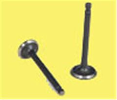 SUBAP EMME+EGZOZ P206 1.1 İ 8V (IN-4/EX-4)