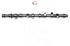 EKSANTRİK MİLİ BOXER-JUMPER 2.5 TD (97-02) 8 SUBAP...