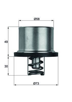 TERMOSTAT CATERPILLAR, CUMMINS, DAF, DEUTZ-FAHR, MAN, RENAULT TRUCKS, VOLVO