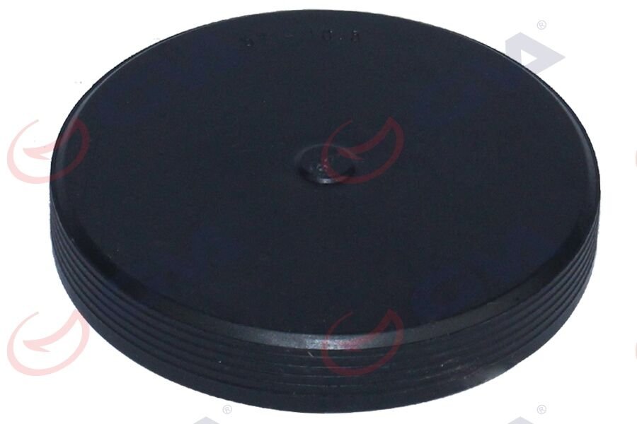 SİLİNDİR KAPAK TAPASI (57x10,5 BÜYÜK) MEGANE-CLIO-...