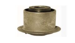 SALINCAK BURCU ŞAPKALI CIVIC YM